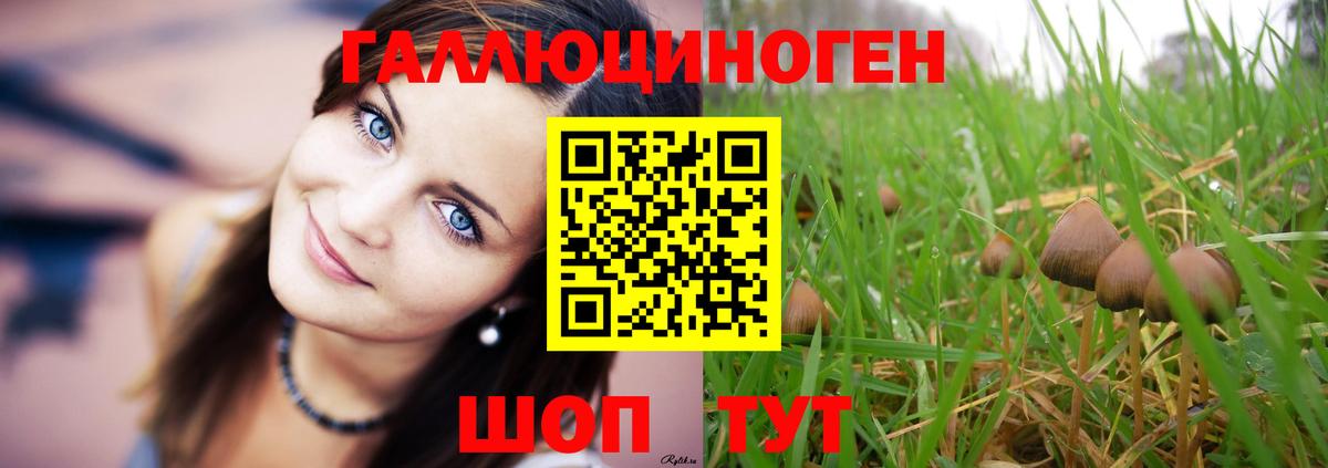 Псилоцибиновые грибы MAGIC MUSHROOMS  Вход с VPN  Биробиджан 